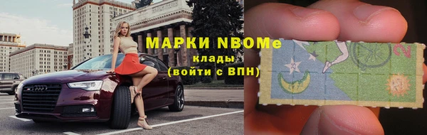 прущие грибы Богородск