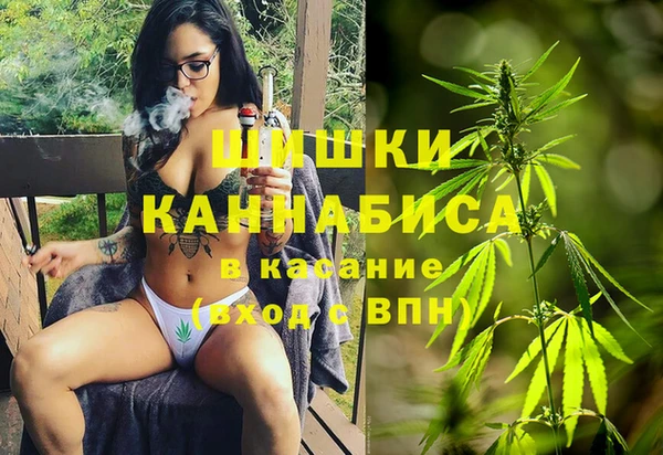 прущие грибы Богородск