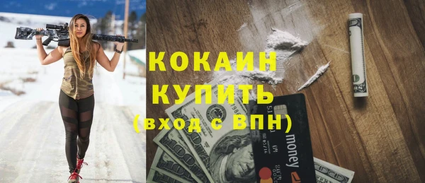прущие грибы Богородск
