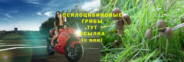 марки nbome Богданович