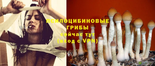 марки nbome Богданович