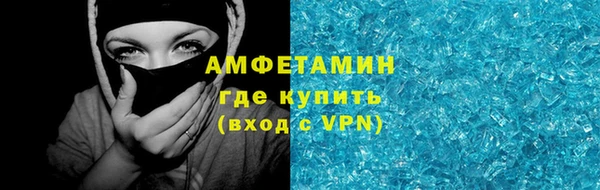 прущие грибы Богородск