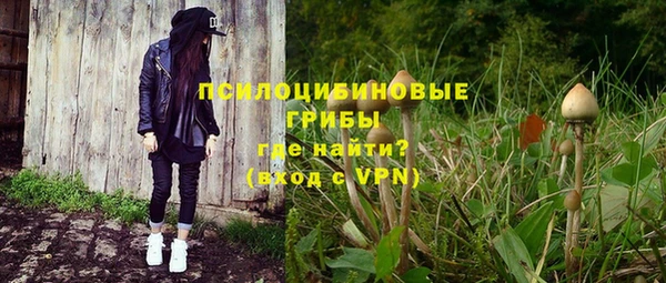 марки nbome Богданович